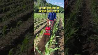 #MiniTiller #Weeder #DitchingAndRibboningMachine #Ditcher