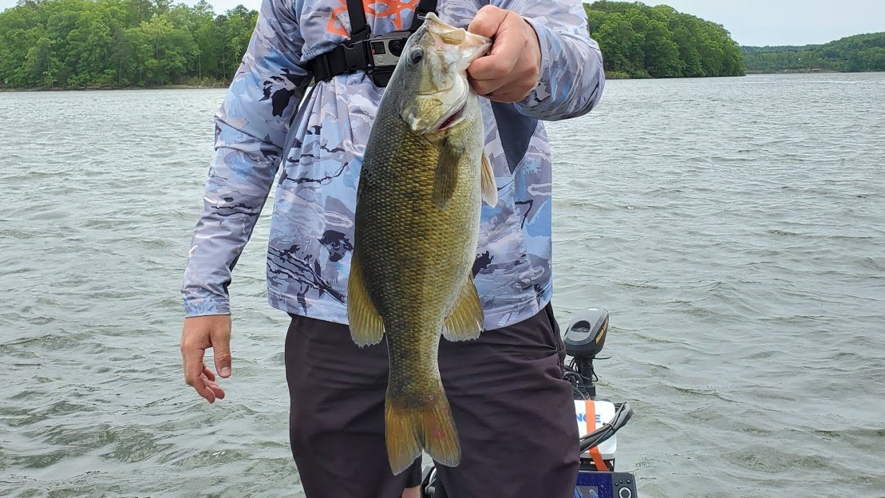 Big Pickwick Smallmouth on a Jerkbait