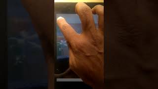 Aquarium Logs iPhone App screenshot 4