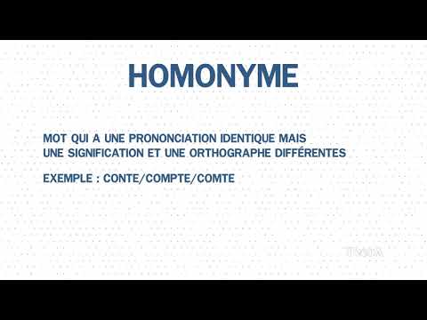 EQM#20 synonyme antonyme paronyme homonyme