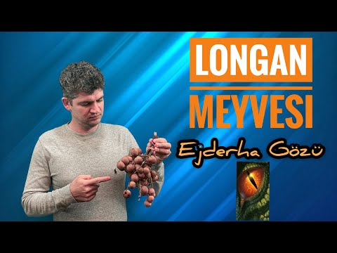 Longan meyvesi - Ejderha Gözü