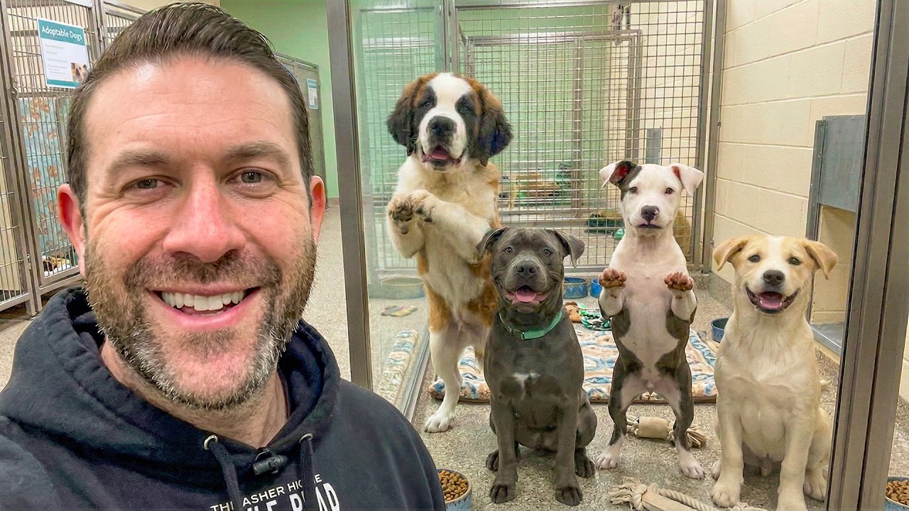 I Adopted Forgotten Dogs From A Local Shelter