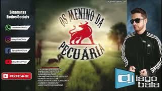 CD OS MENINOS DA PECUÁRIA DE VALENTIM GENTIL-SP - DJ IAGO BALA