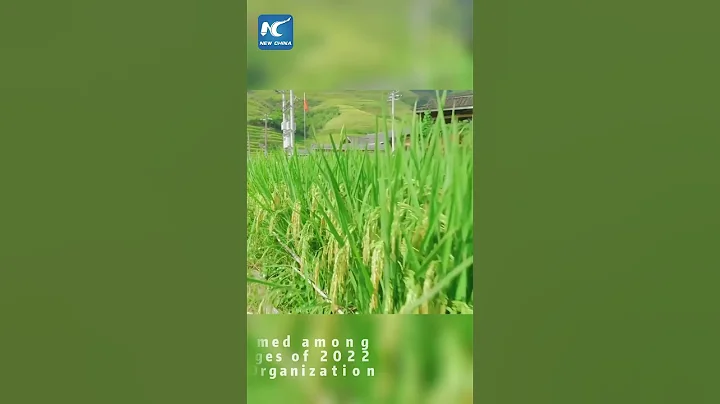 China's Dazhai Village recognized among Best Tourism Villages of 2022 by UNWTO - DayDayNews