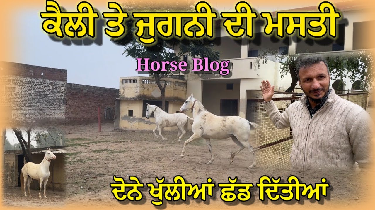 ਆਪਣੀ ਕੈਲੀ ਤੇ ਜੁਗਨੀ ਦੀ ਮਸਤੀ,, ਅੱਜ ਬਹੁਤ ਦਿਨਾਂ ਬਾਹਦ ਬਾਹਰ ਕੱਢੀਆਂ,,