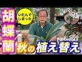 【洋蘭】秋のコチョウラン の植え替え講座。傷んでしまった胡蝶蘭を回復させる方法とは
