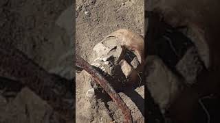 Death Superstitions - XXIV