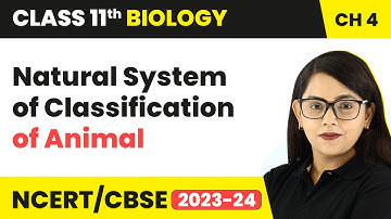 Natural System of Classification of Animal - Animal Kingdom | Class 11 Biology Ch 4 | NCERT/CBSE