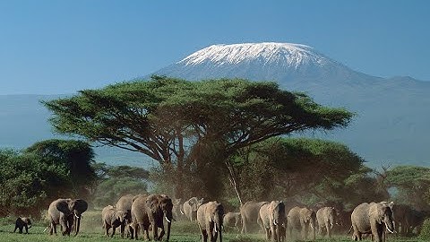 Chapter 6 Lesson ENV172 & GEOG205