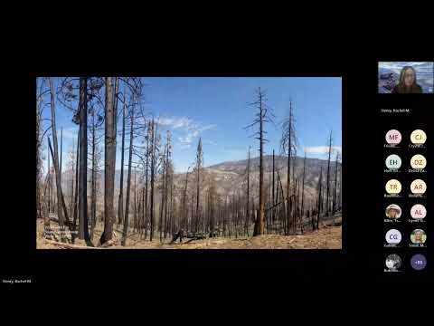 California Forest Conservation