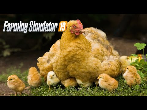Прохождение Farming Simulator 19 #4 БОБОВЫЕ И КУРЫ