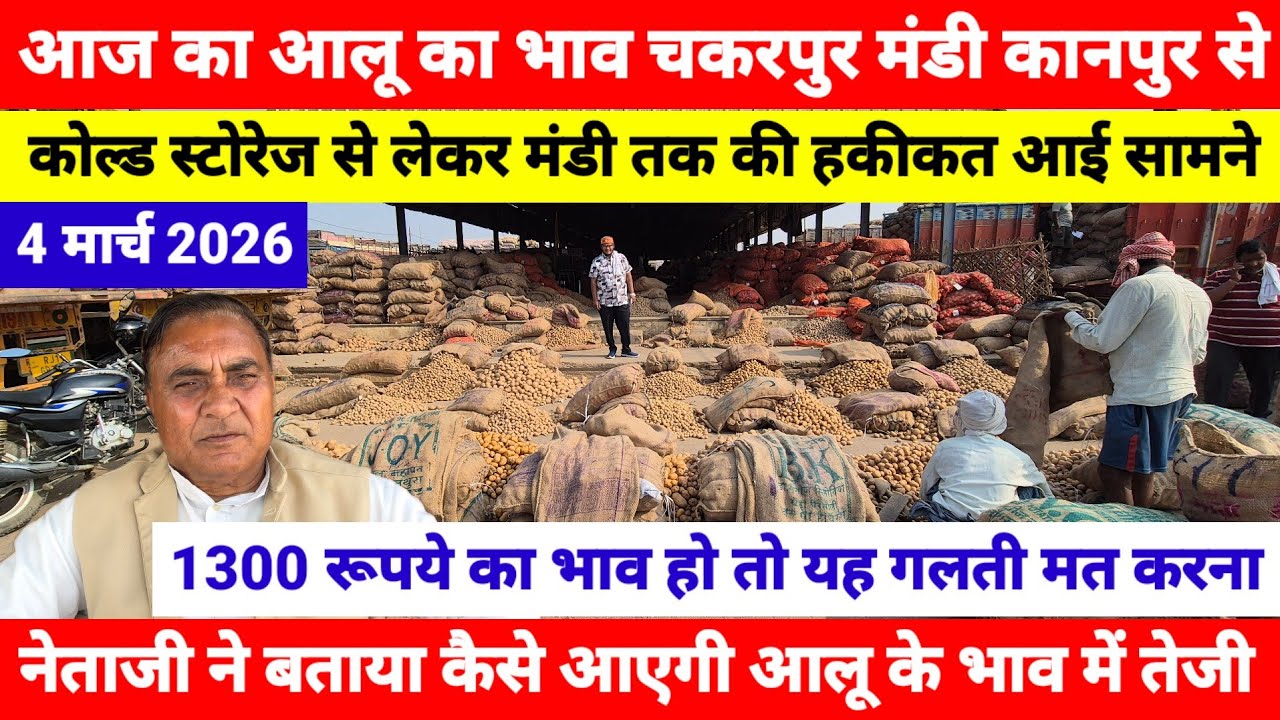 आज का आलू का भाव चकरपुर मंडी कानपुर का 4 March 2026 || नेताजी ने बताया कैसे आएगी आलू के भाव में तेजी