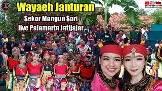Wayaeh Janturan Sekar Mangun Sari live Palamarta Jatijajar @rasitochannel1855