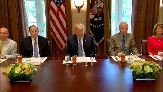 Trump Calls Supreme Court Ruling On Travel Ban 'Great Victory For Our Country'