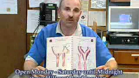 Mike Rehm Pyometra in Dogs