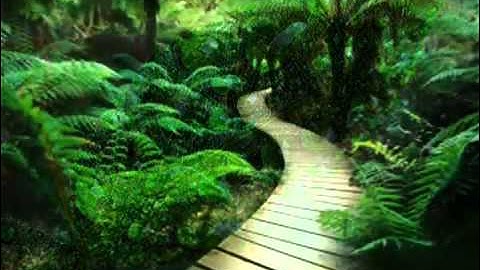 سورة القلم   القارئ الصغير يوسف كالو   surah AlQalam    yousof kalo