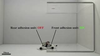 Strong and Agile Wall-Climbing Robots Capable of Traversing Obstacles via Anisotropic Acoustic S1