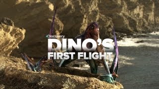Baby Dinosaur&#39;s First Flight!
