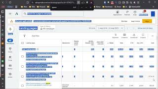 Exposing Google Ads Bug Charged For Clicks To Dead Ignore Urls. Landing Page Issue Explained