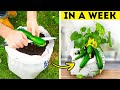 101 Genius Gardening Hacks to Transform Your Green Space 🌱