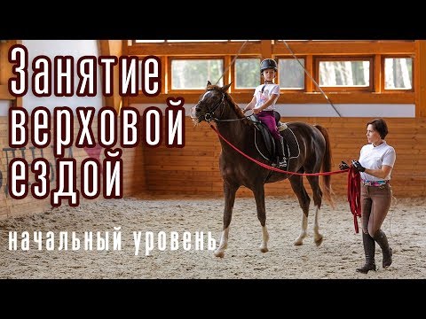 Занятие верховой ездой. Начальный уровень. Тренер Оксана Анатольевна Санникова