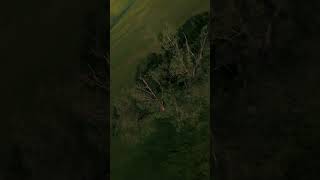 FPV flow state