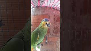 Ella Esta Tomando El Sol