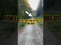 A little test for the boy #dogtraining #offleash #recall #obedience
