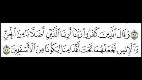 سورة فصلت الآية 29