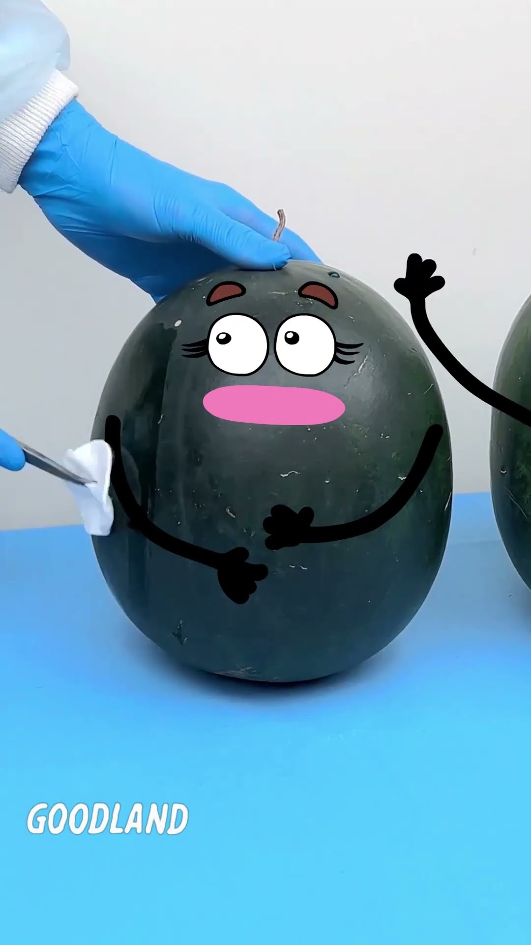 Goodland | Watermelon surgery, watermelon bubble birth ? #doodles #animation #cartoon #GOODLAND