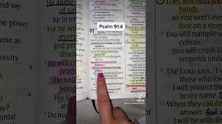 Psalm 91:4 Psalm 91:4