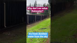 Why don’t we value rainwater? It’s fresh distilled water from the sky!