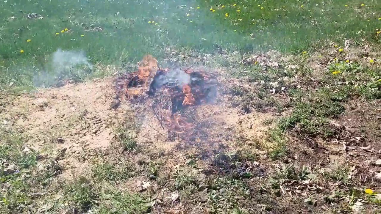 Tree stump removal. Saw & Burn - YouTube