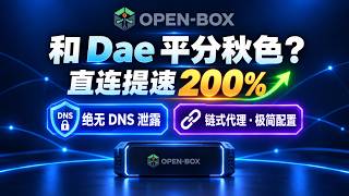 Modding Sing-Box 1.14 Kernel: 200% Faster Direct Connections! Dae-Level Performance, Zero DNS Lea...