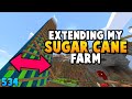Extending My Insane Sugar Cane Farm (534)