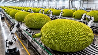 Full Process: How Jackfruit Is Shredded Into Plant-Based Meat