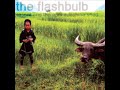 The Flashbulb- Delhi III