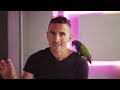 Middle of video