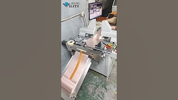 R2R CCD Dual Head Hole Punching Machine for FPC