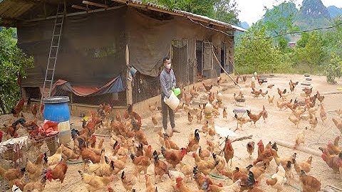 Lạng Sơn hỗ trợ bà con vùng đồng bào dân tộc và miền núi đẩy mạnh sản xuất