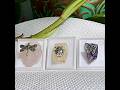 Crystals and Critters 3