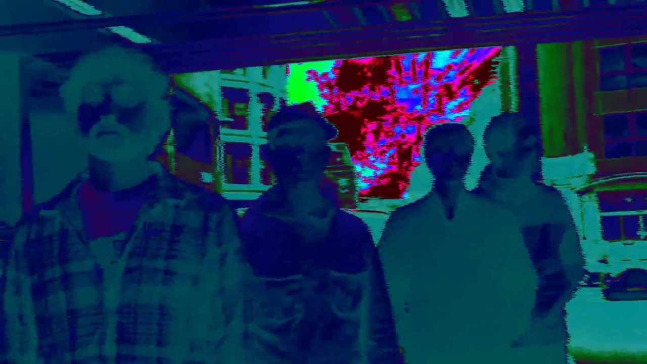 The Electric Perceptions of Animal Collective | ACID TEST