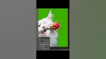 Select Fur #photoshop #photoshoptutorial #shorts #photoshopediting