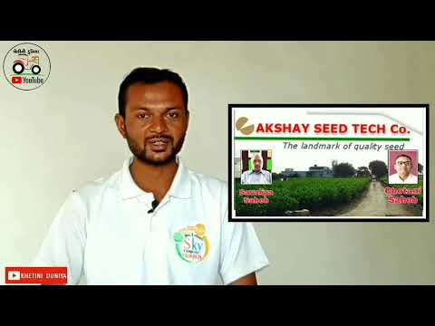 Akshay Seed Tech Junagadh વિશ્વાસપાત્ર બિયારણ અક્ષય સીડ ટેક જુનાગઢ