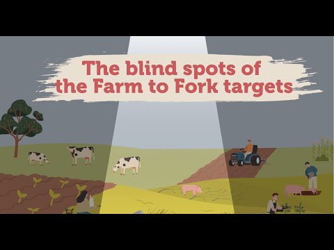 The blind spots