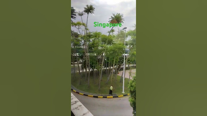 Alhamdulillah sudah sampai singapur#short #tiktok #real #viral
