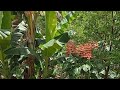 Let's connect to nature | Silent LS for WH