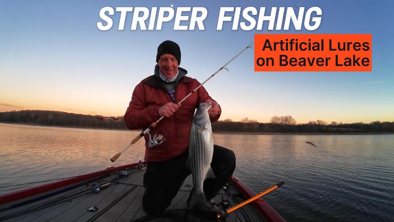 Слишком мелкий полосатый окунь? Что там на озере Бивер?