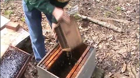 Quick Package Bee Installation