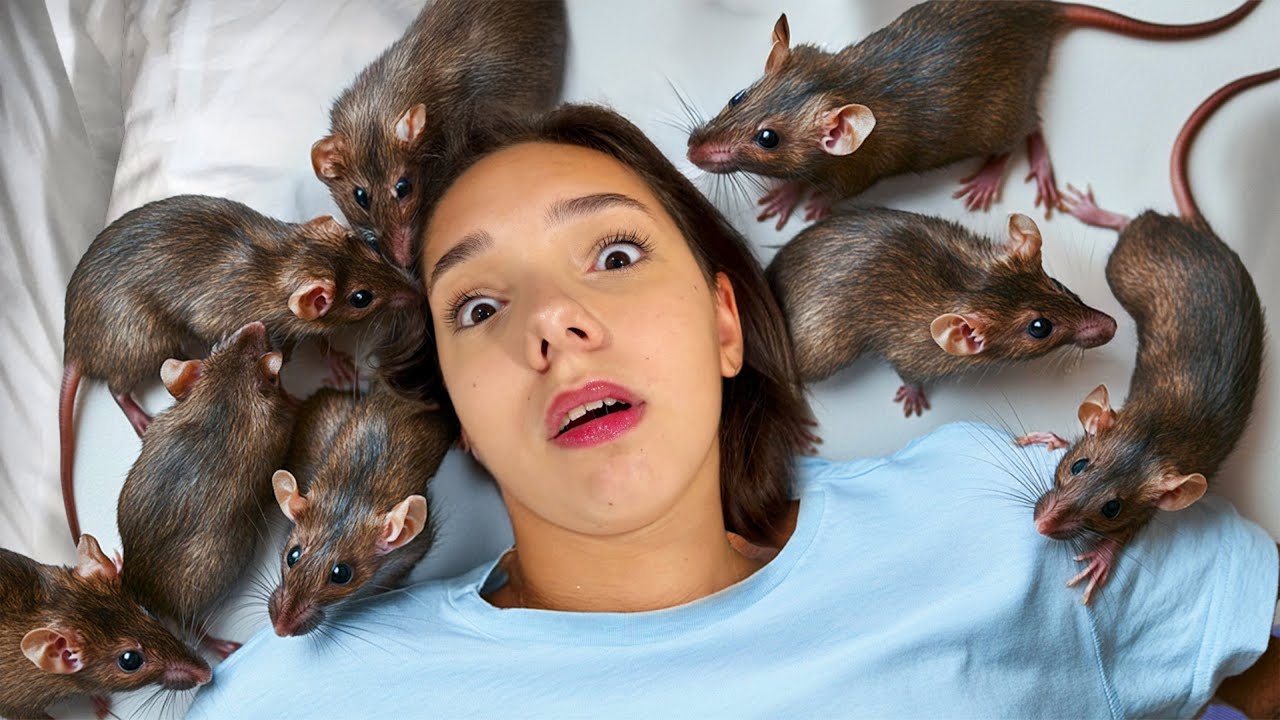 😱 MARA a DORMIT cu ȘOARECII în PAT 🛌